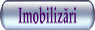 Catre pagina de Imobilizari a sitului VB Count